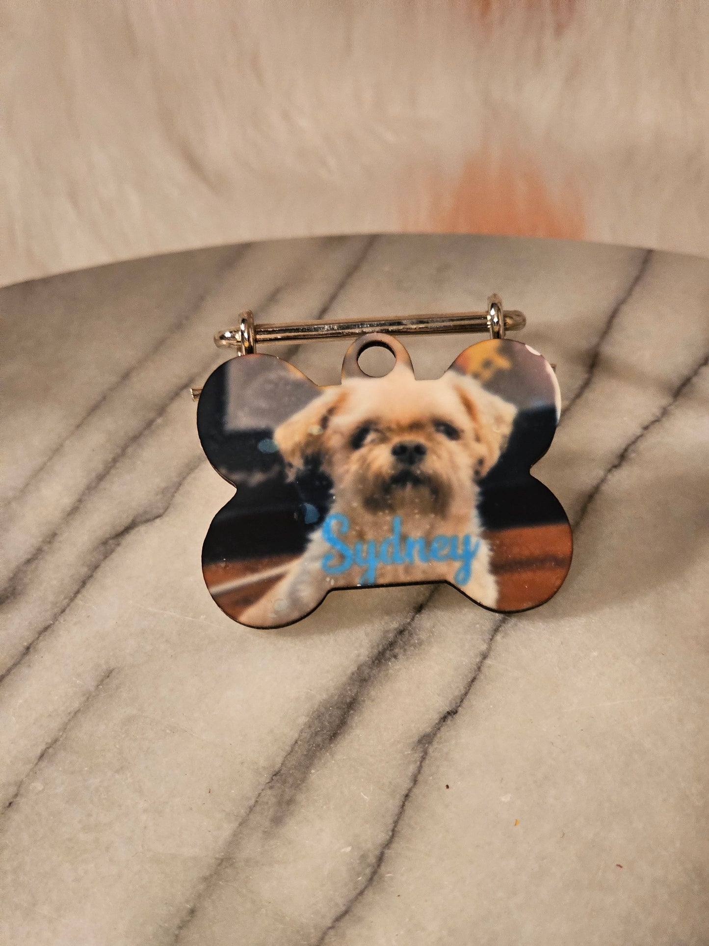 Small Dog tag with owners and pet's information