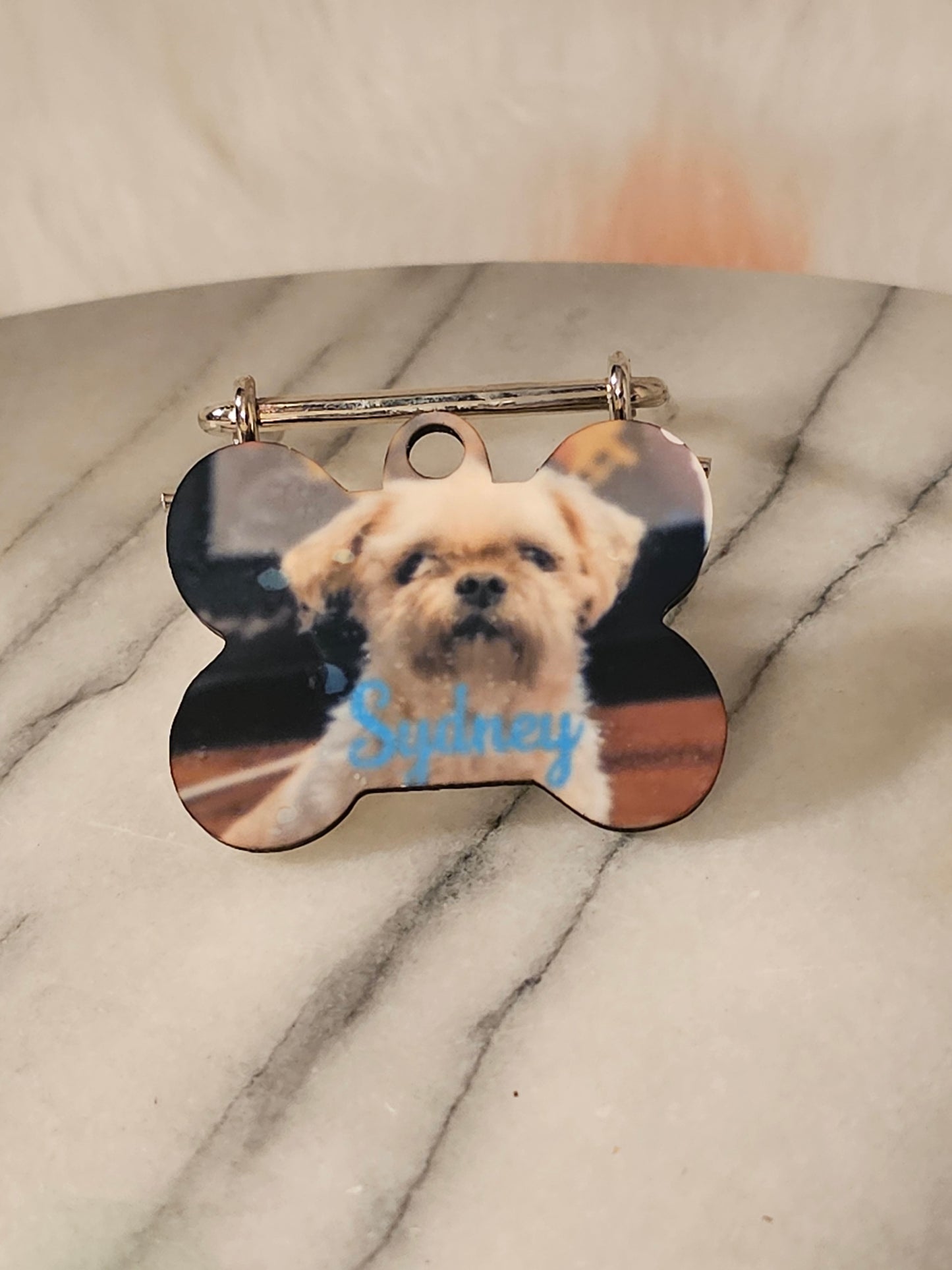 Small Dog tag with owners and pet's information
