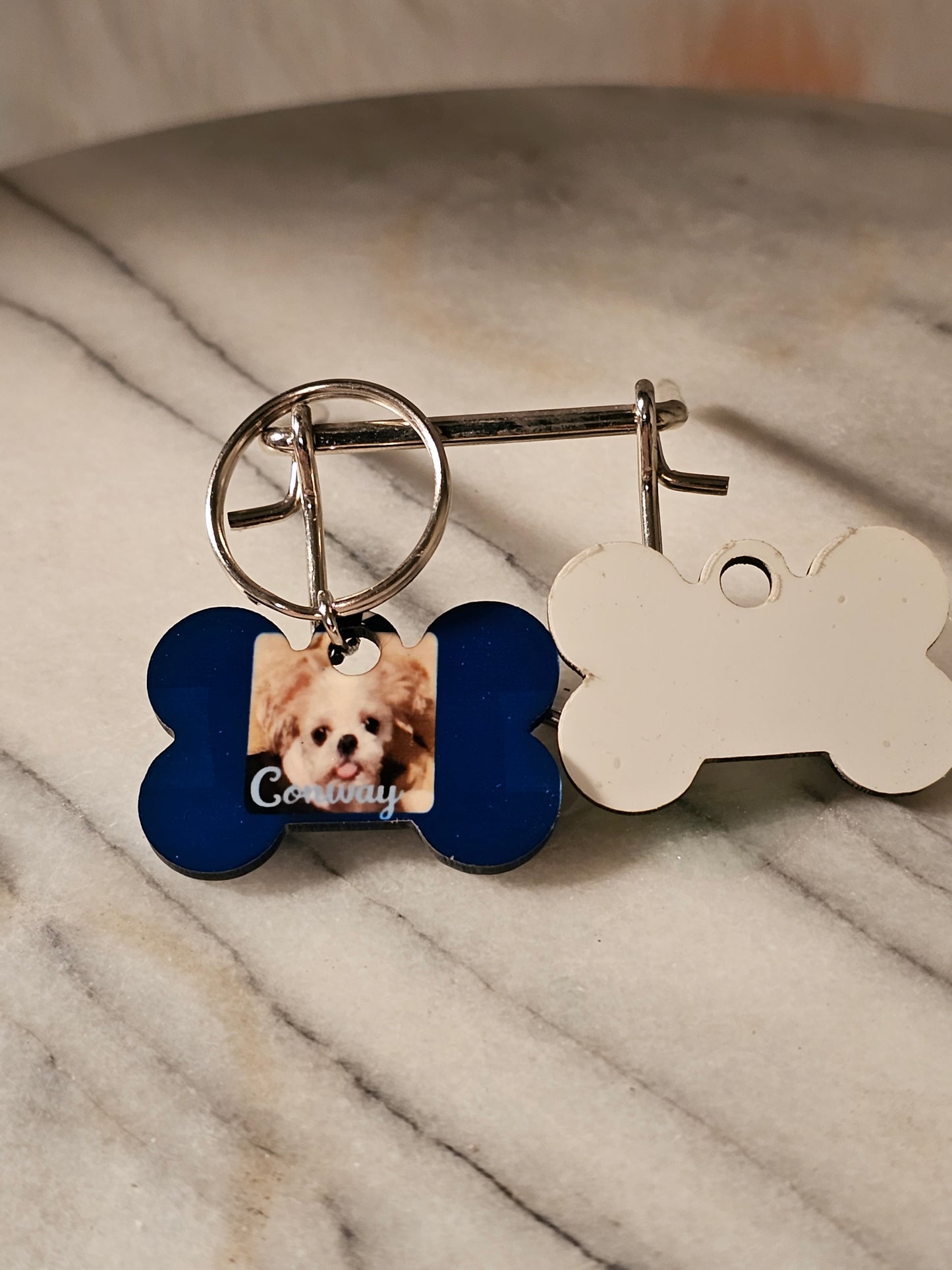 Small Dog tag with owners and pet's information