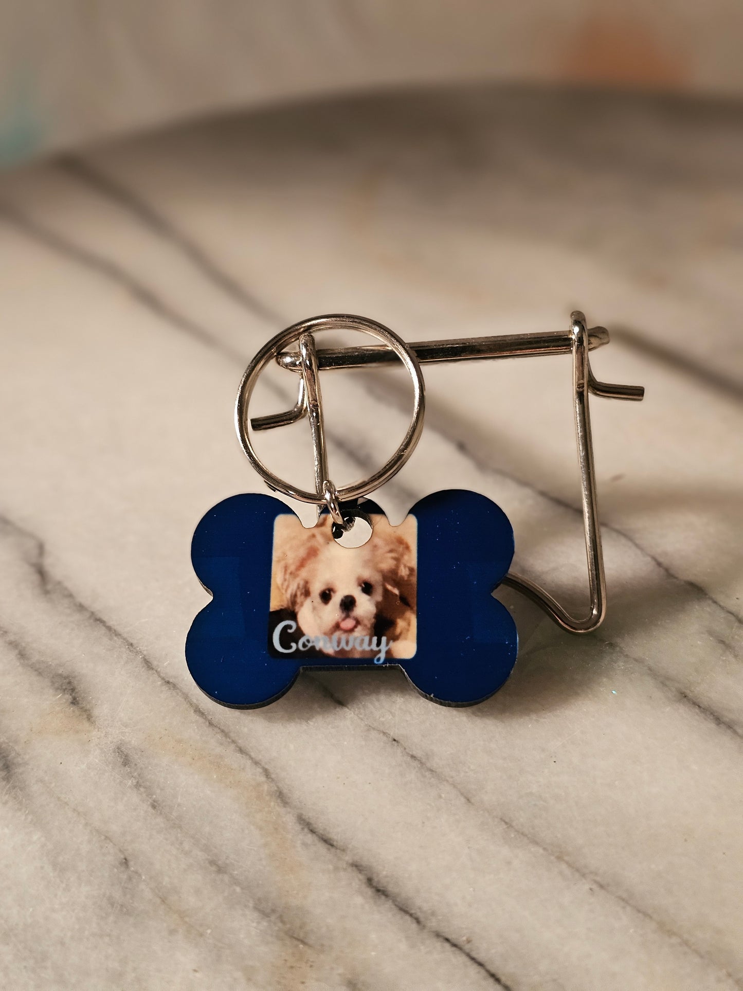 Small Dog tag with owners and pet's information