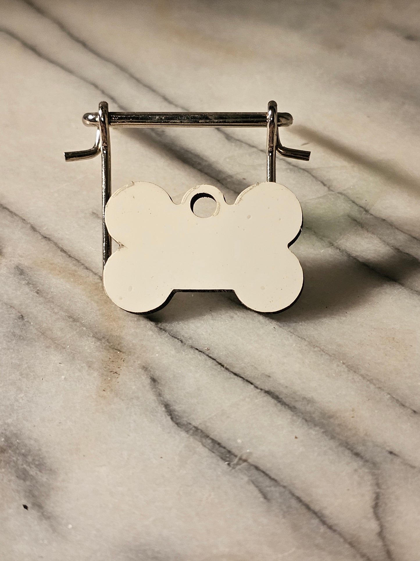 Small Dog tag with the owner's and pet's information.