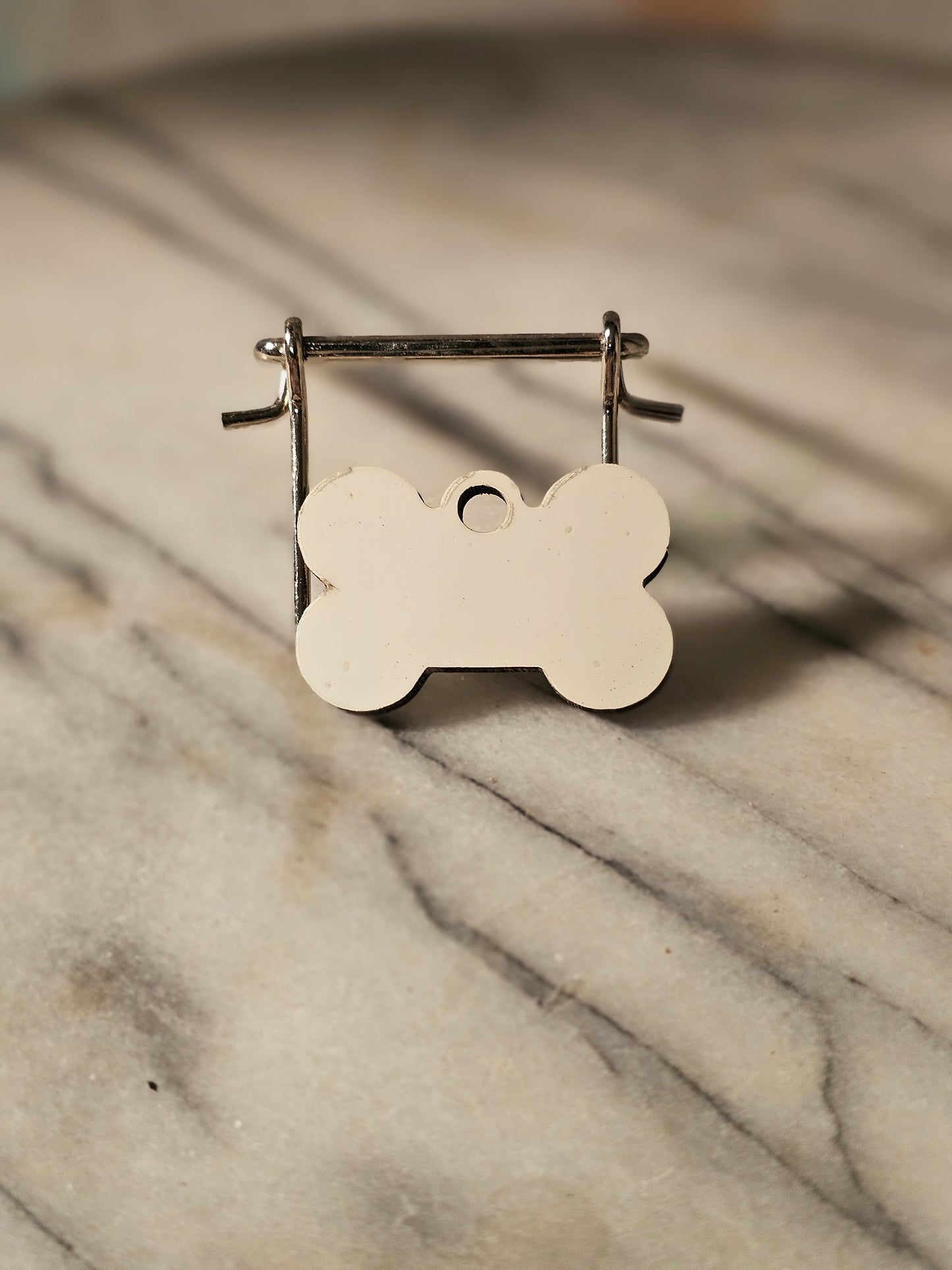 Small Dog tag with the owner's and pet's information.
