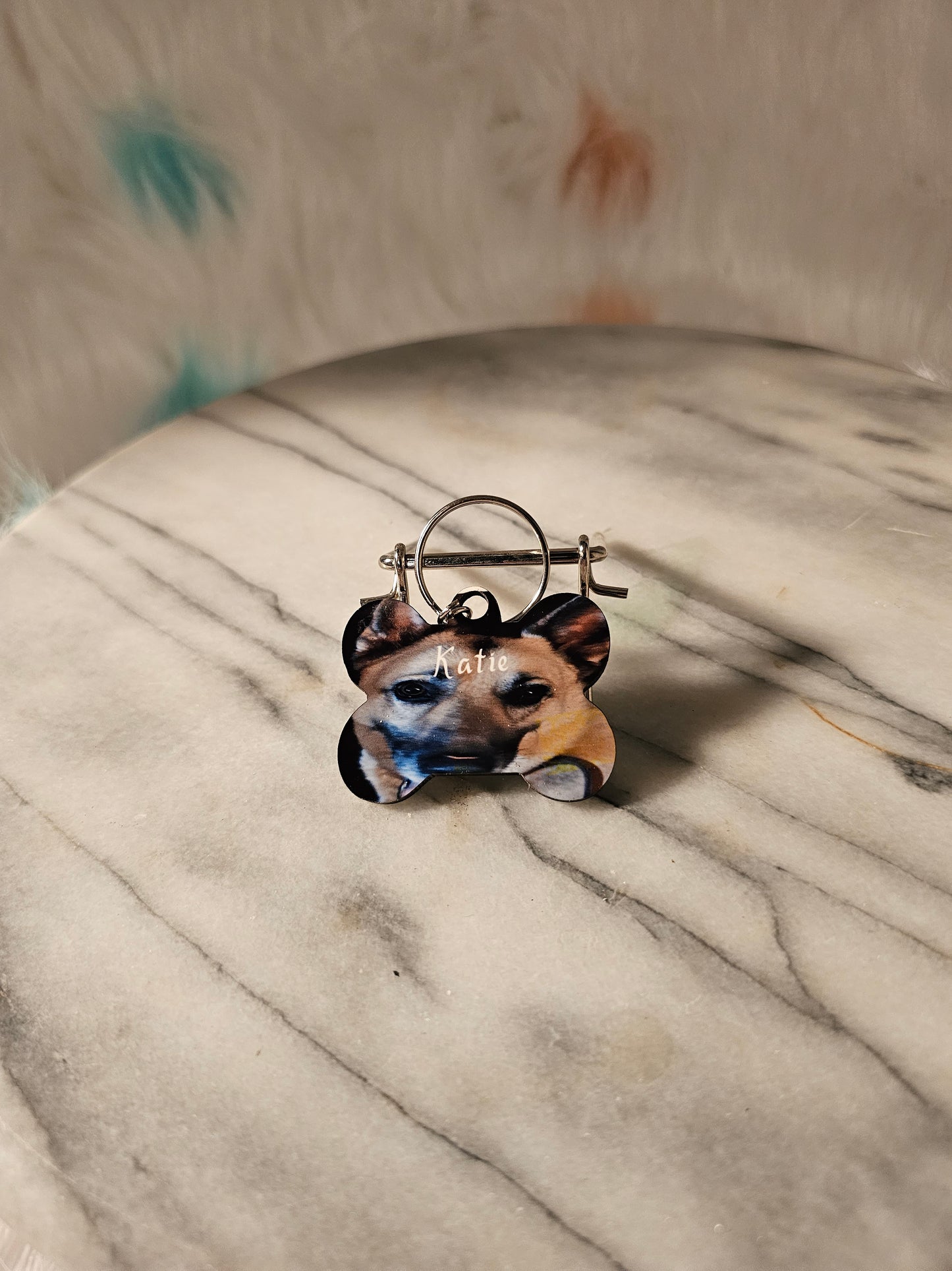 Small Dog tag with the owner's and pet's information.