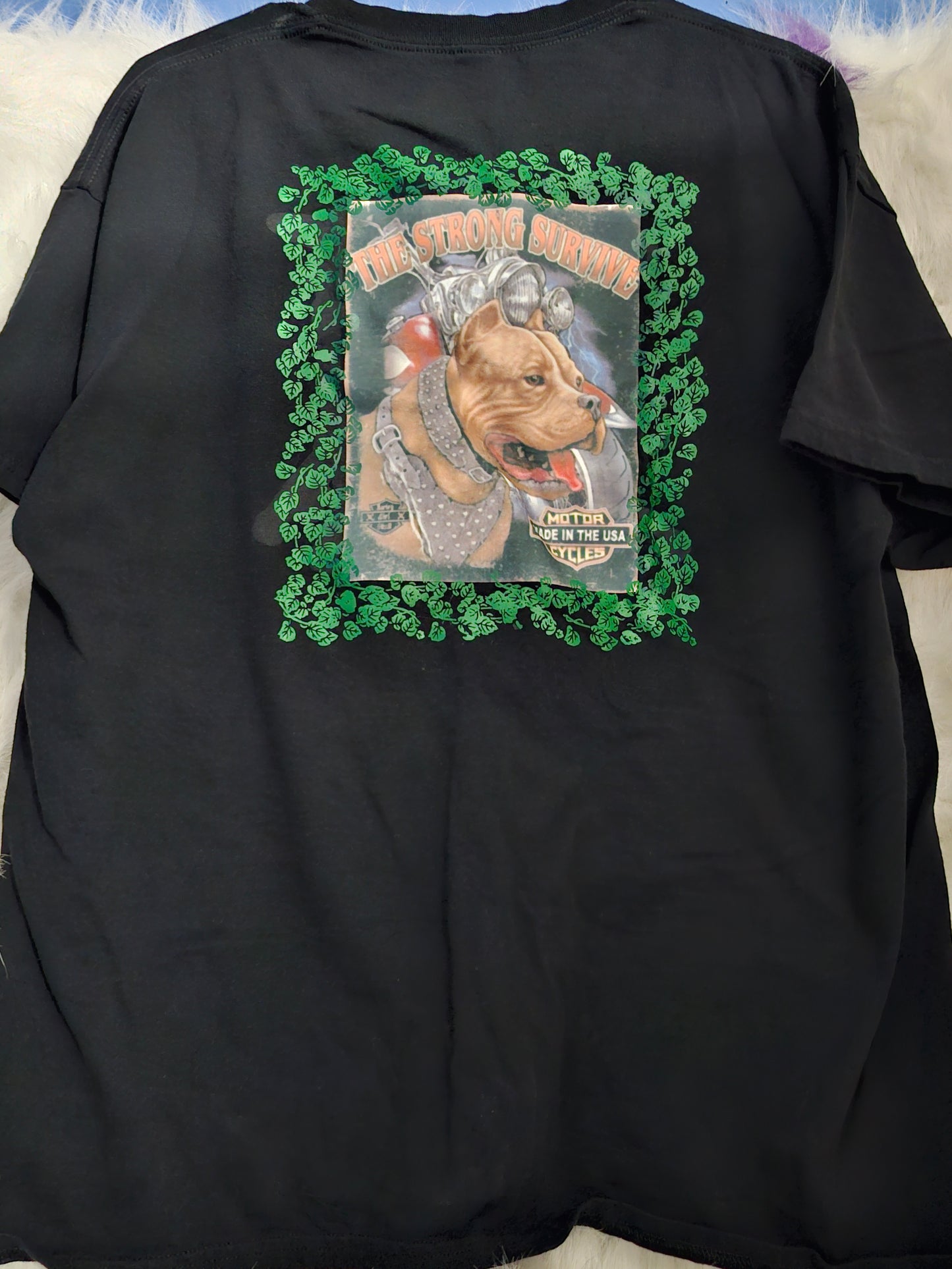 Size XL 100% cotton Harley Davidson black T-Shirt