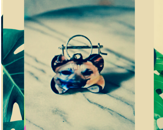 Small Dog tag with the owner's and pet's information.