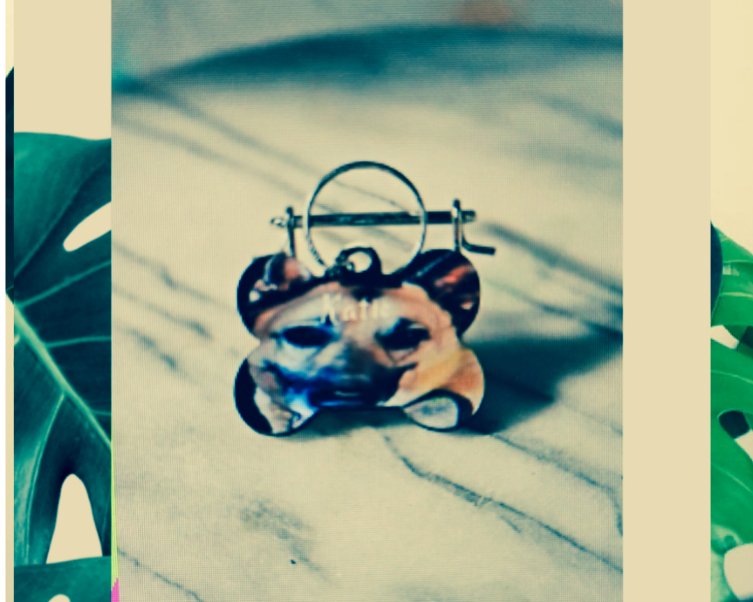 Small Dog tag with your dog picture on front and the owner's name and phone number on back